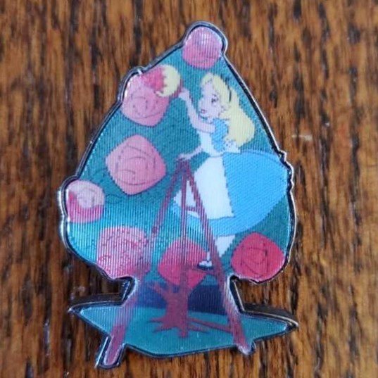 Star Tours 30 Years Cast Member