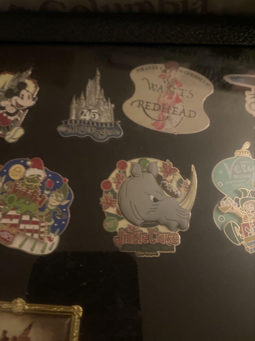 Animal Kingdom - Tree Of Life