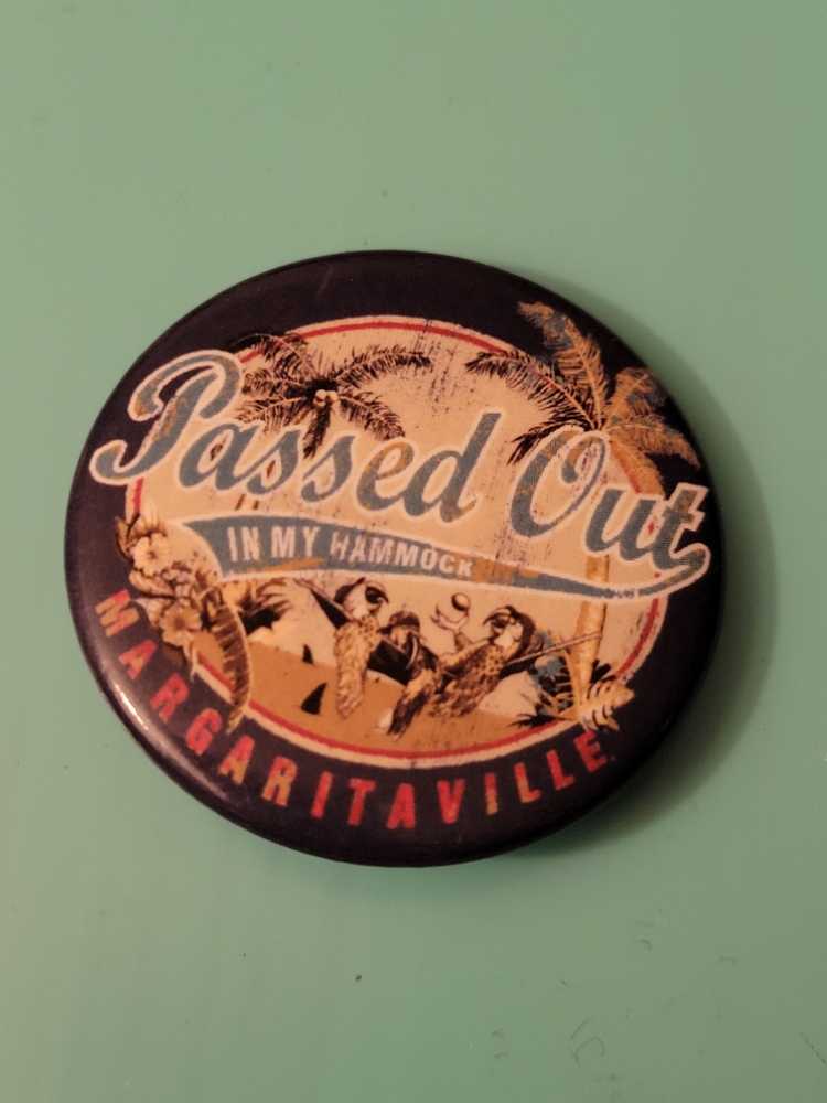 Figpin Rock Lee #245 Naruto Shippuden Collectible Pin