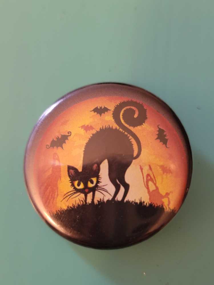 Disneyland Resort Mickey & Castle Pin