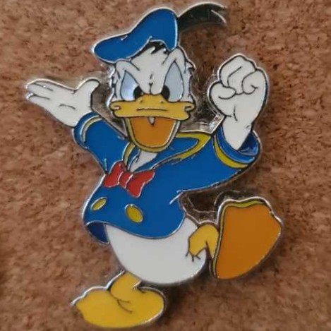 Anaheim Ducks Zamboni Pin Classic Pins