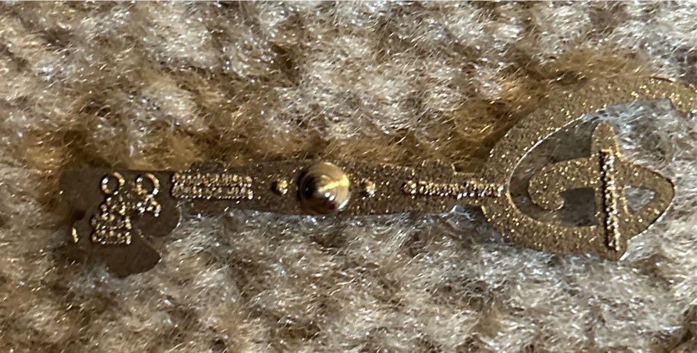 Toy Story 25th Anniversary Key Pin - Disney Pin Trading pin collectible [Barcode 465050608109] - Main Image 2