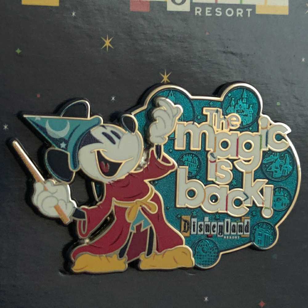 Disney World  - Park Icons Stained