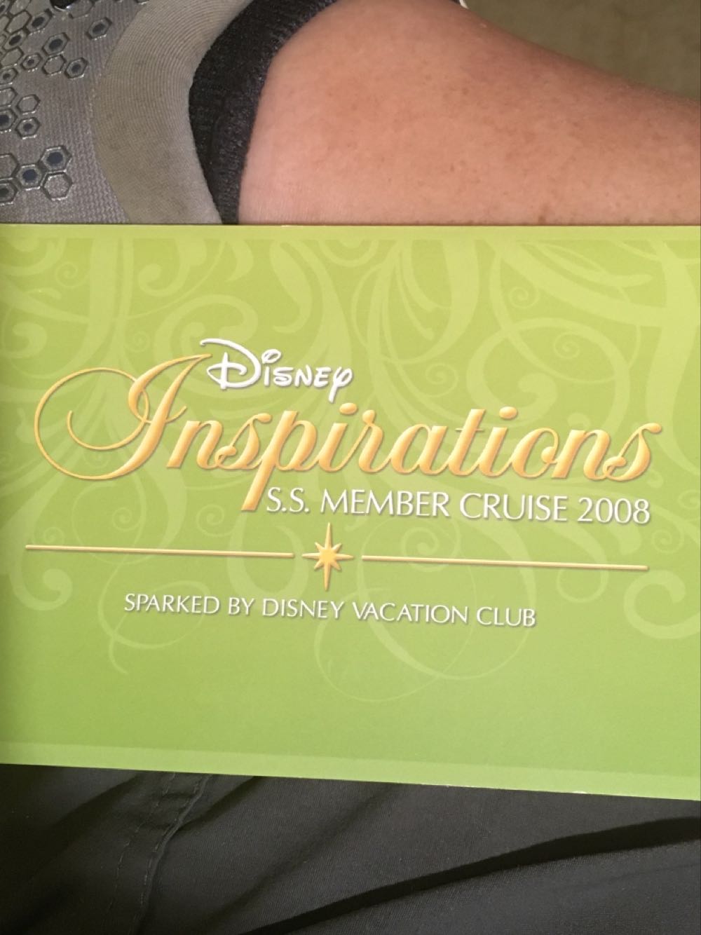 DVC Member Cruise - DVC pin collectible - Main Image 2