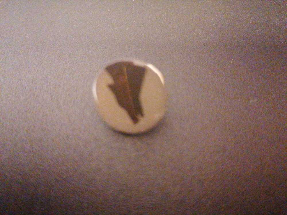 Fantasia 80th Anniversary Sorcerer Brooms