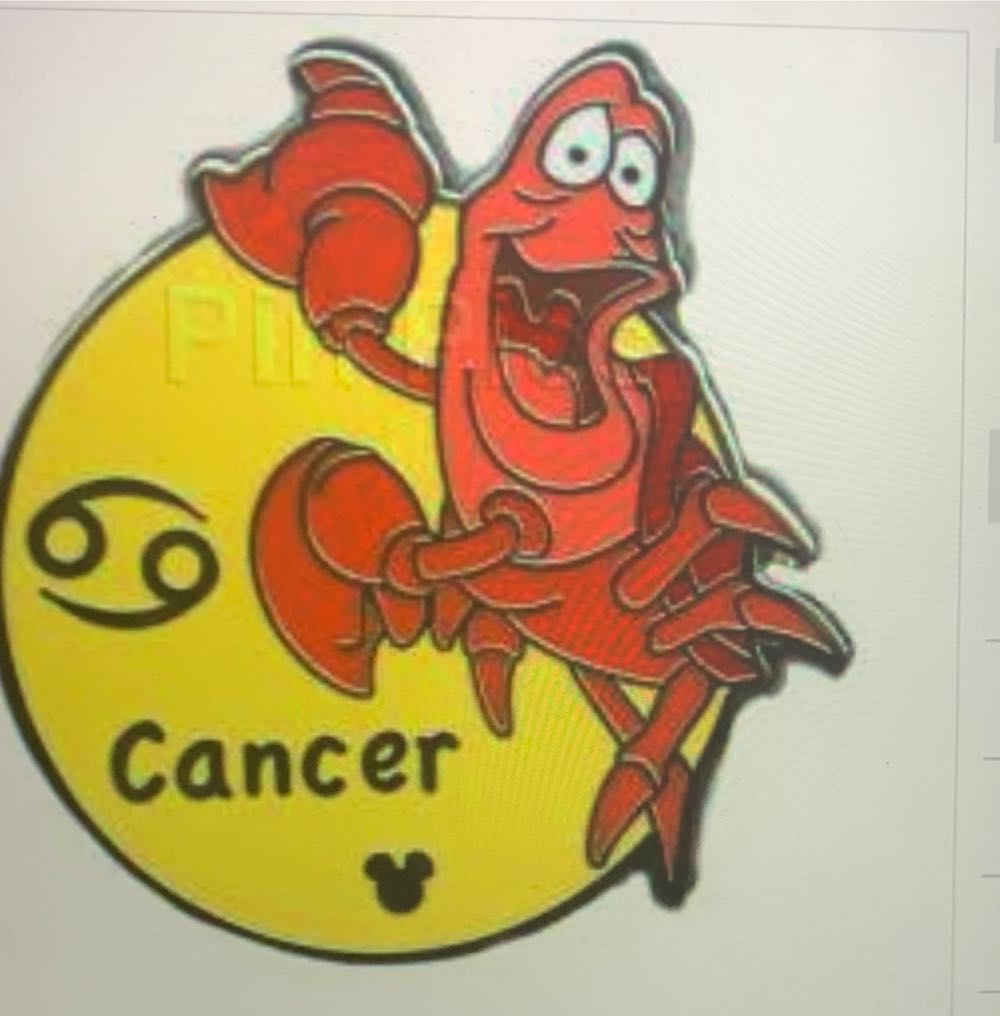 TeacupLarge, Arthur (V2, Light Blue) $