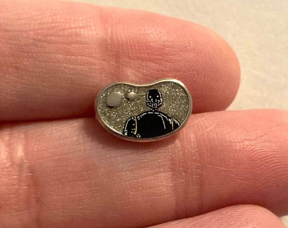 Disneyland Resort Castle Pin