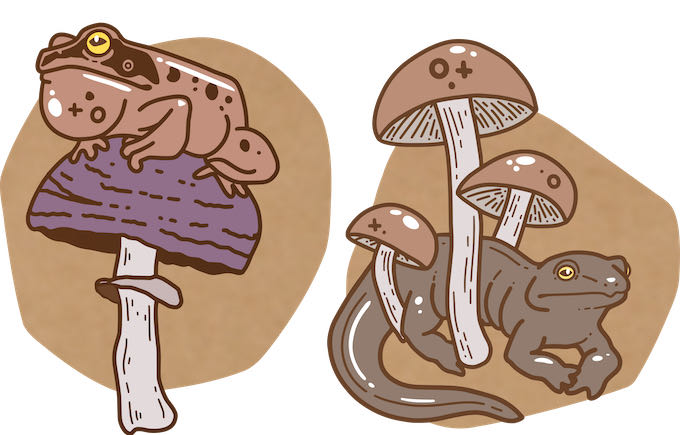Fungi Buddies: Grey Salamander Mushroom - Soft Enamel, Epoxy, & Screenprint pin collectible - Main Image 3