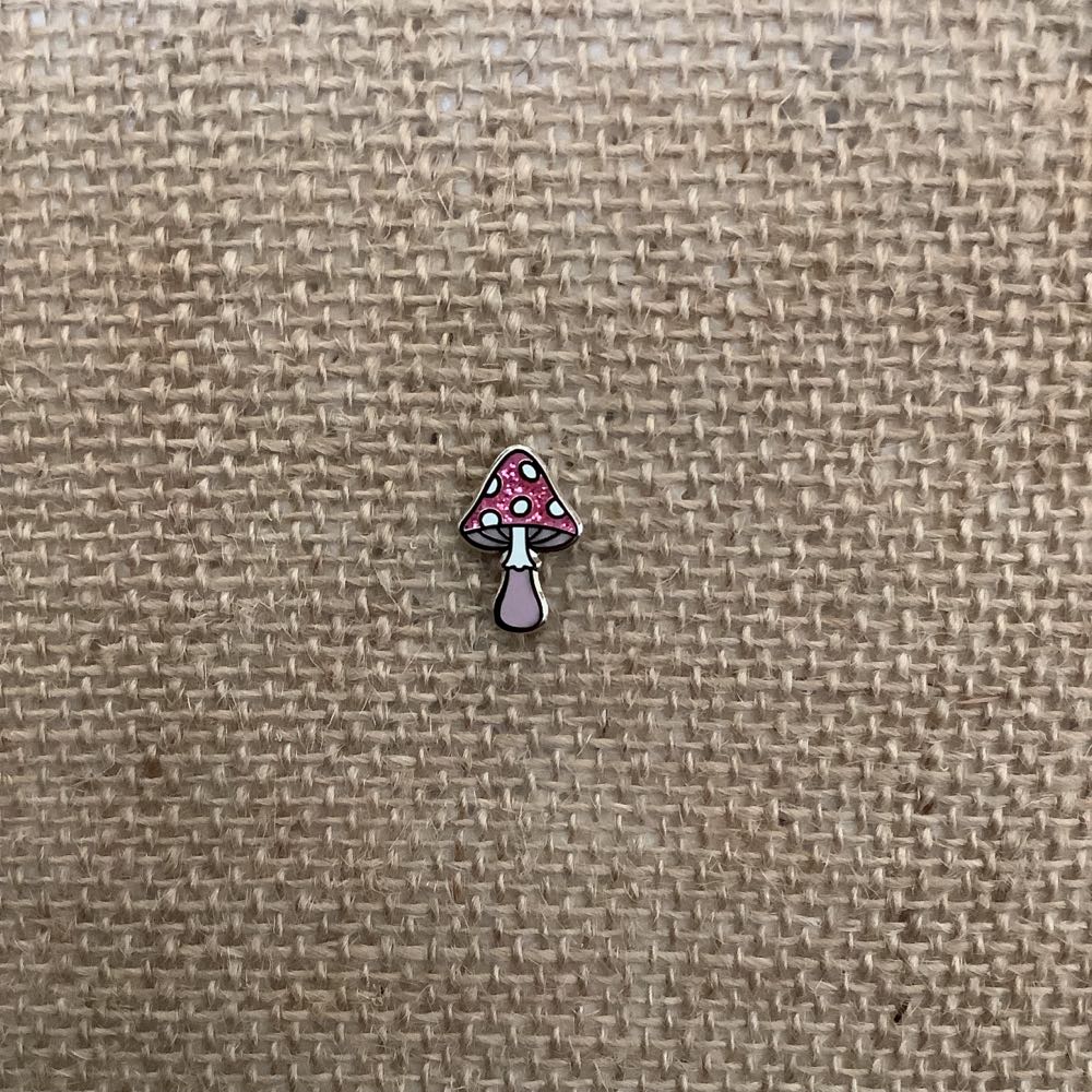 Asian Pacific Island Americans Vote Democrat 2000 Our Vote Is Our Voice