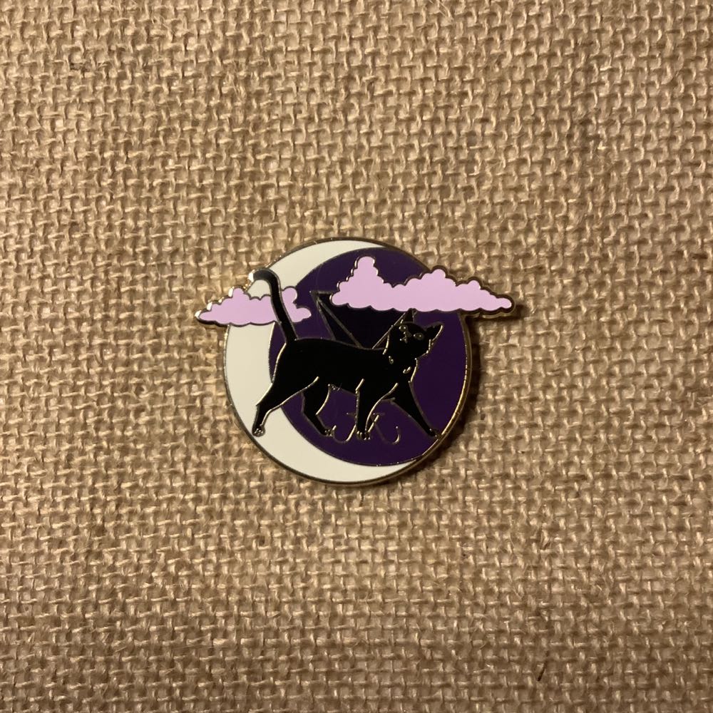 Disneyland Castle Pin