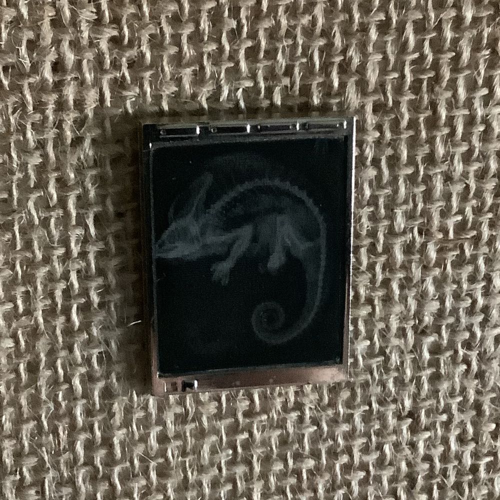 Lenticular Radiology Light Box (Veterinary Edition) - Metal pin collectible - Main Image 2