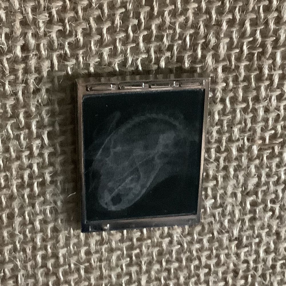 Lenticular Radiology Light Box (Veterinary Edition) - Metal pin collectible - Main Image 3