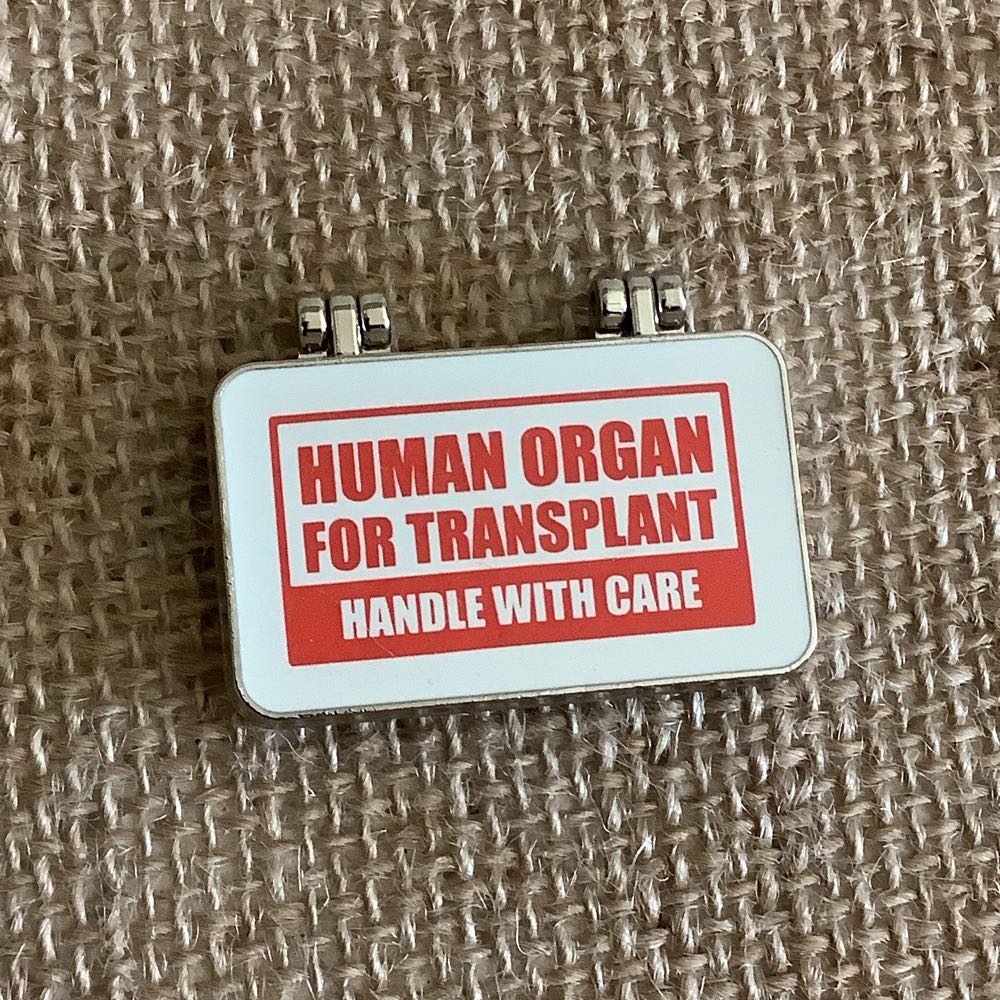 Government: Election: 2020 Trump/Pence