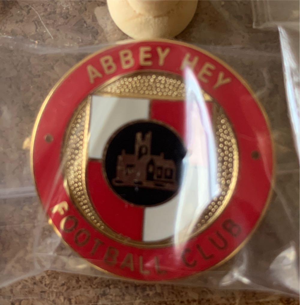 Elsa Disney Tapestry