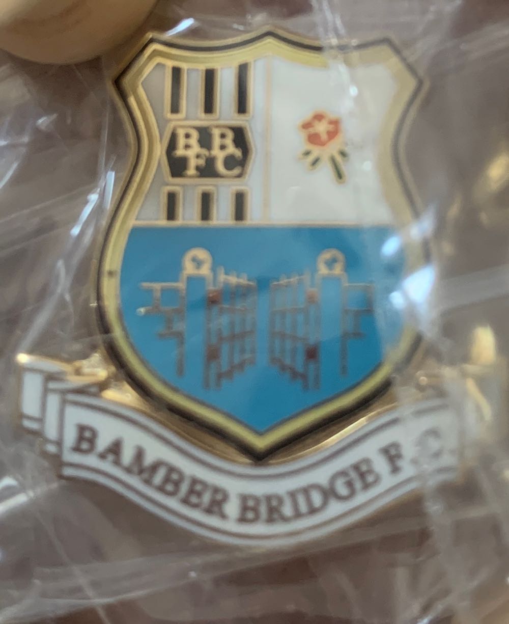 Sixgill Shark - Silver