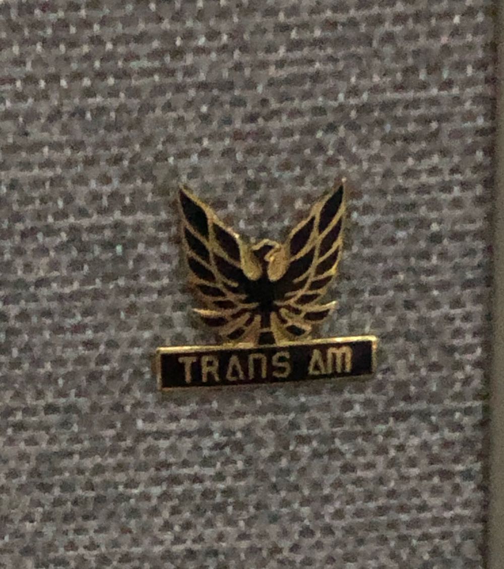 Squirtle Sleeping Wooden Pin