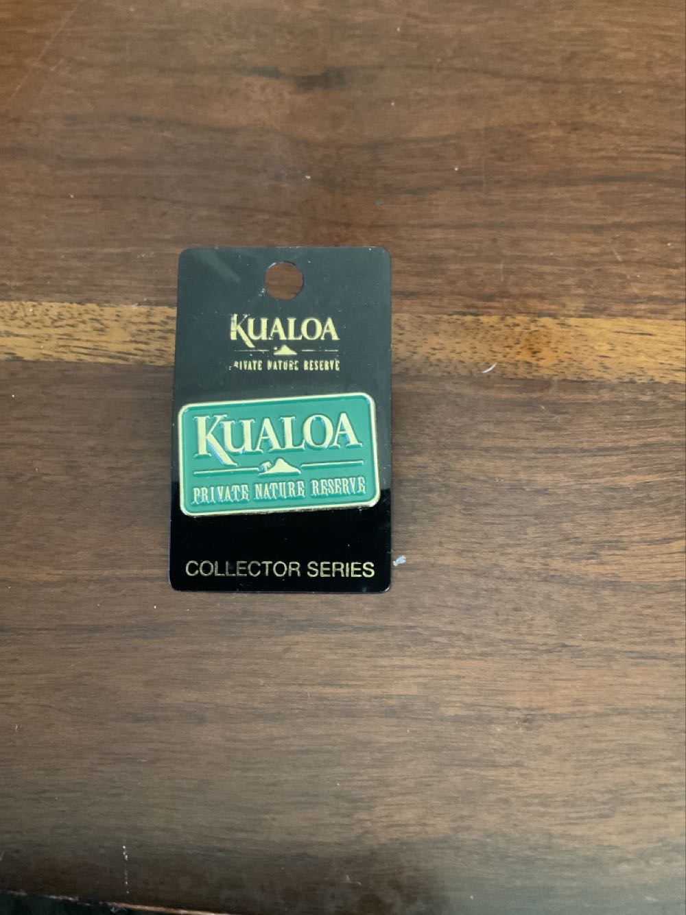 Radiator Springs 15th Anniversary