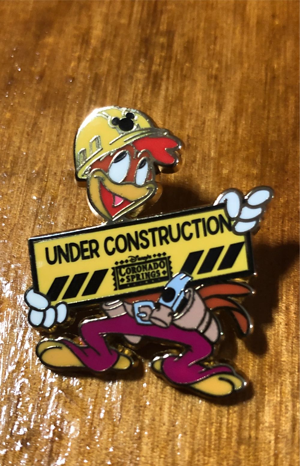 Year Of A Million Dreams - Donald and Goofy (2007)