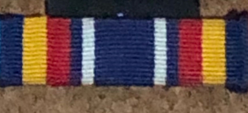 FTW Championship Belt Pin