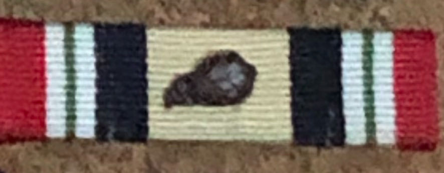 Remembrance: Right to Bear Arms