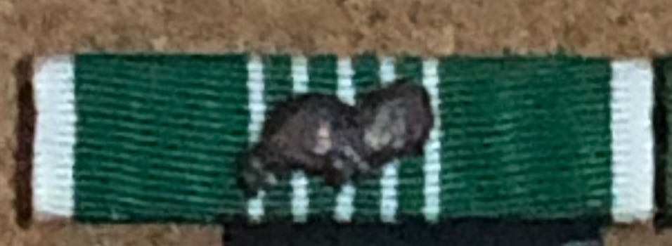 Minnie Princess Leia