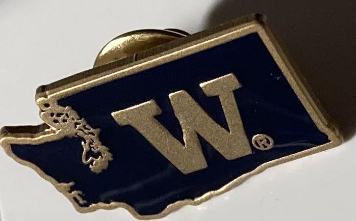 Disneyland Resort (Castle With Tinker Bell) - Disneyland Pin