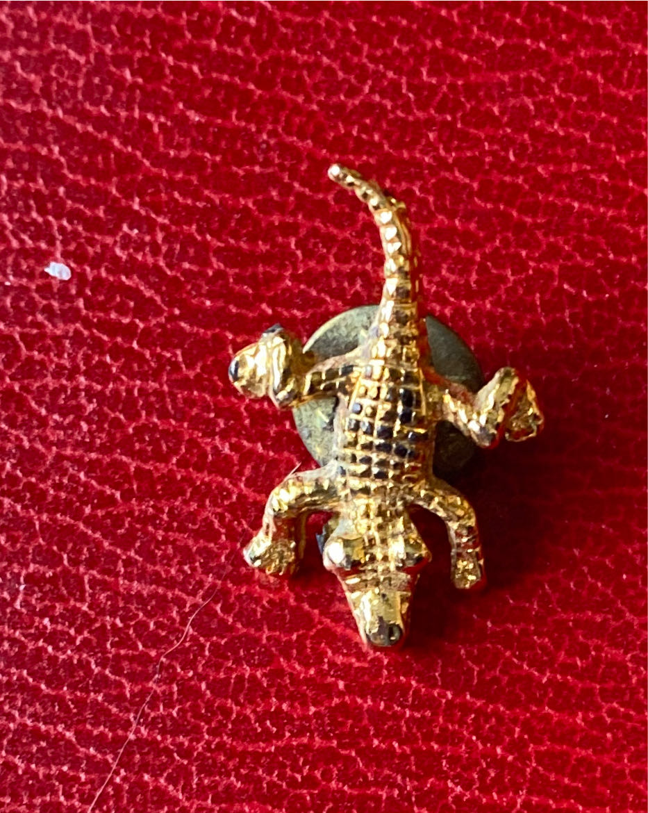 Disney Parks Wdw 50th Magical Celebration Limited Pin Set Of 8 New With Box