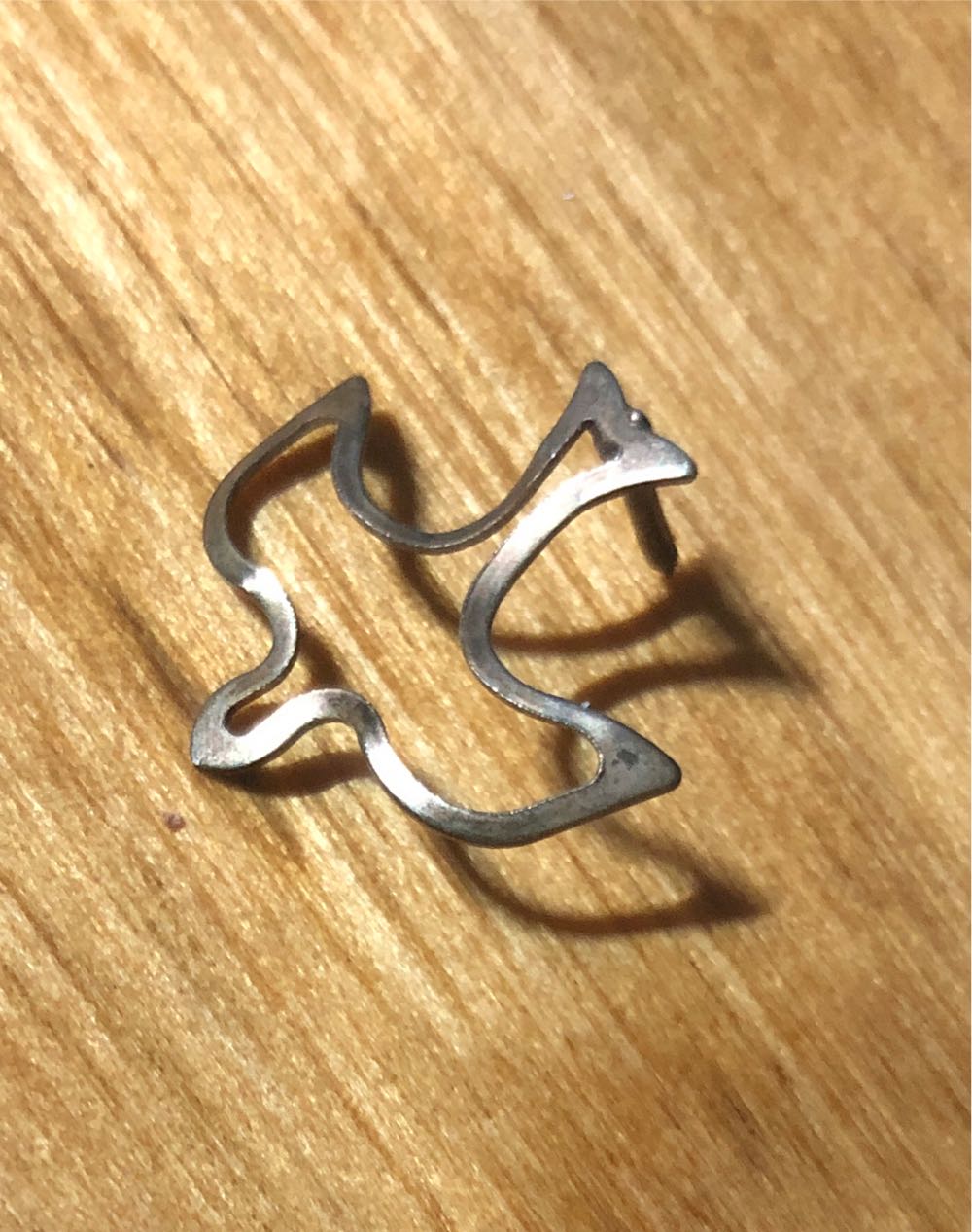 Walt Disney World 50th Anniversary Fan Pin - 2021