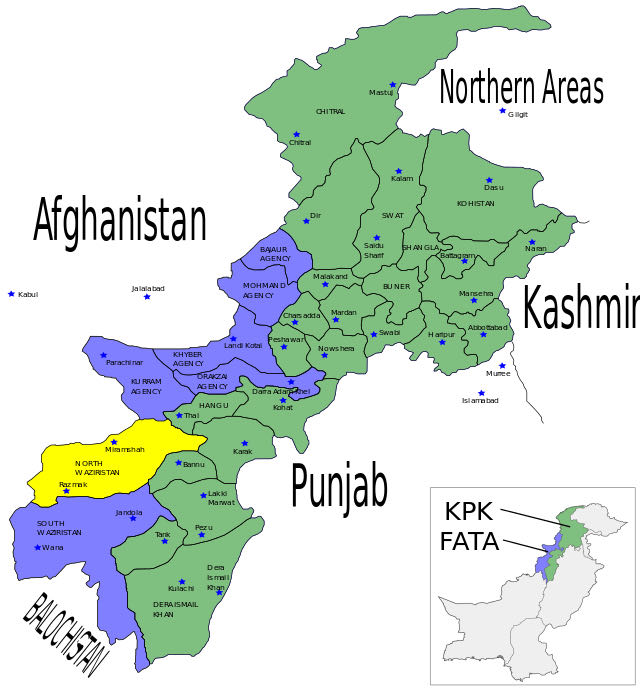 Cosmic Whale Shark Set