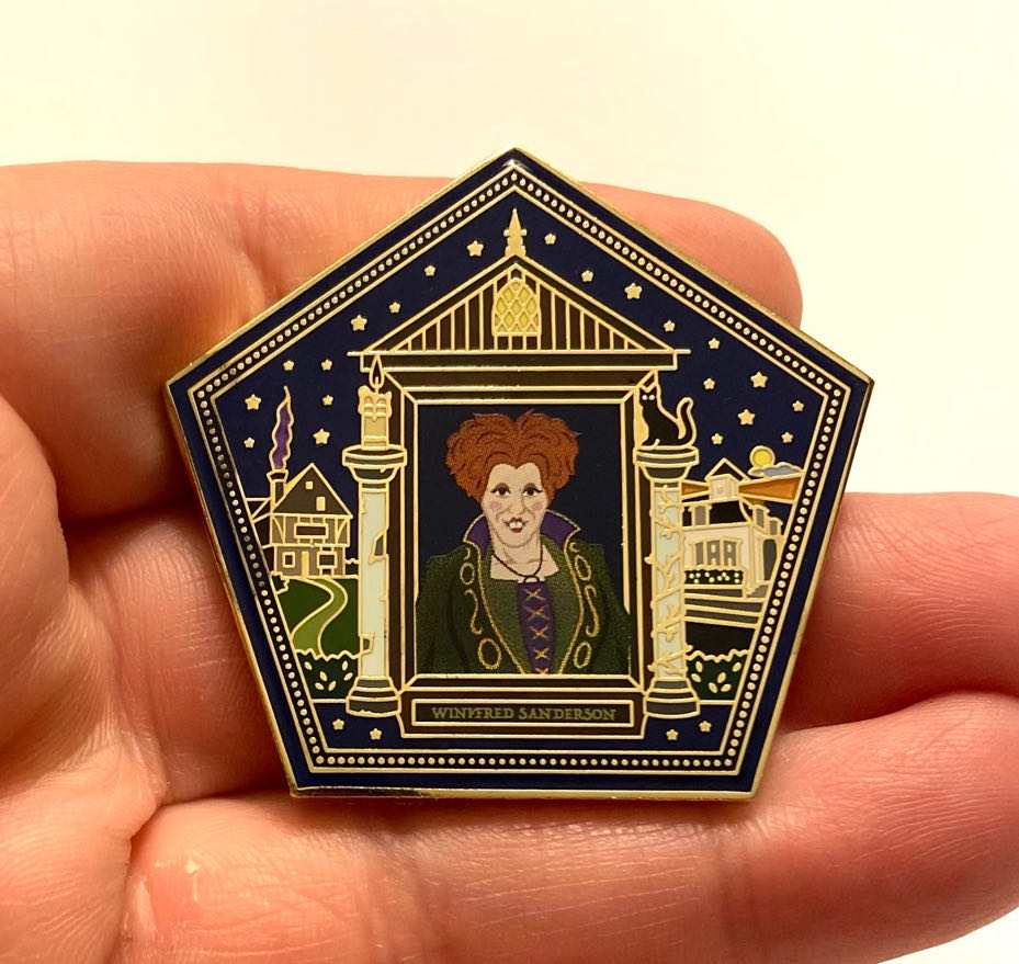 Disneyland Resort Castle Pin