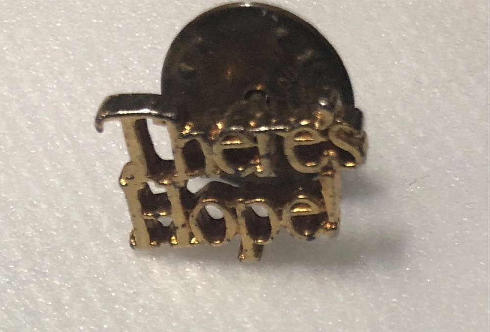 Walt Disney World 50th Anniversary “Park Icons” - Disney World Limited Edition Pin