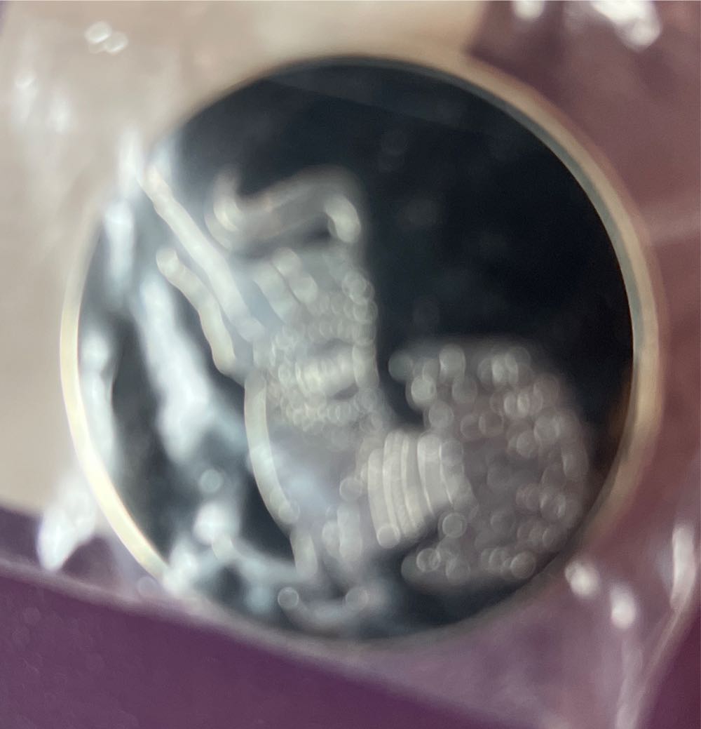 Flying Keys 1: Chocolate Frog