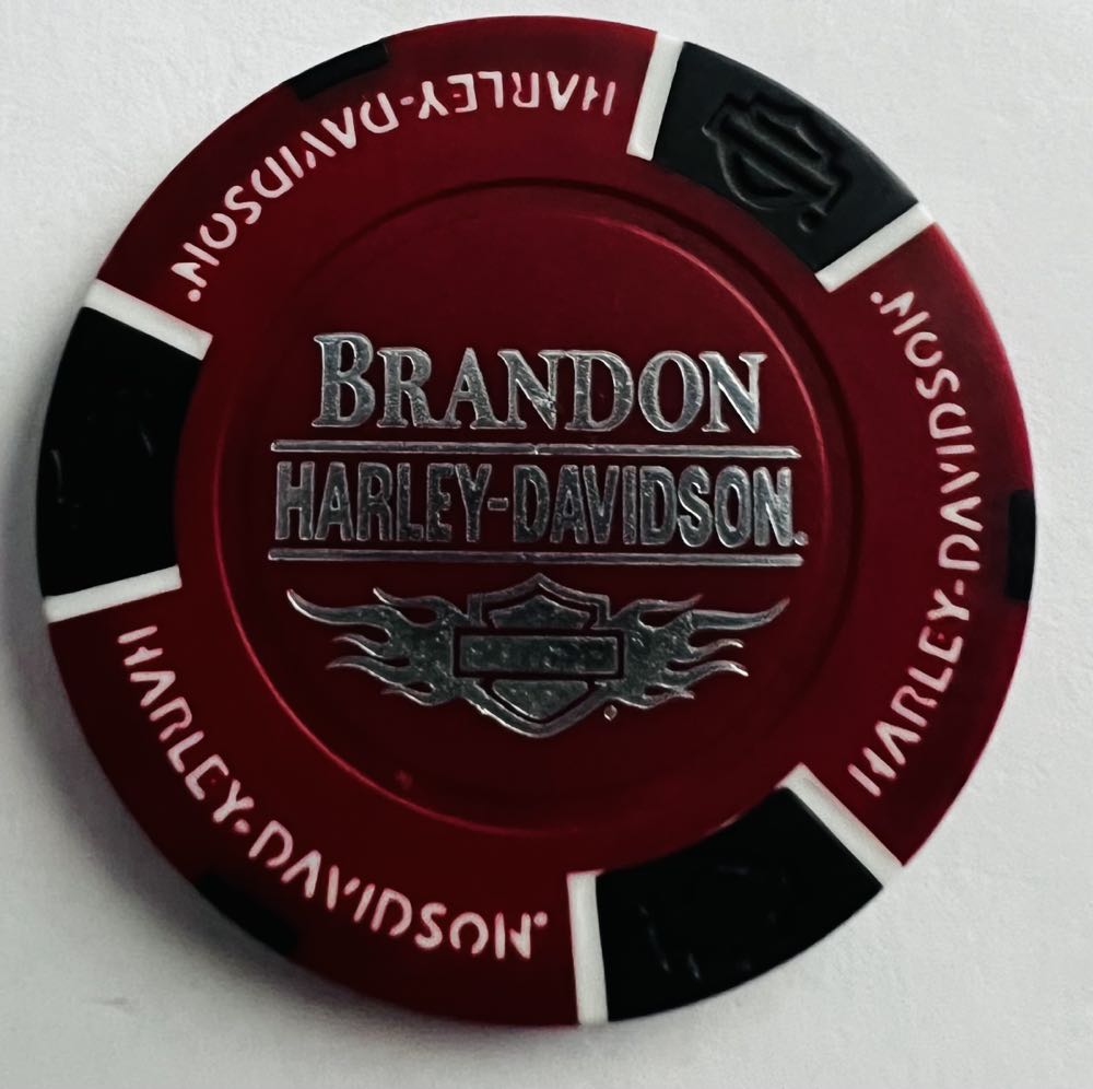 Tampa - HD of Tampa  pin collectible - Main Image 4