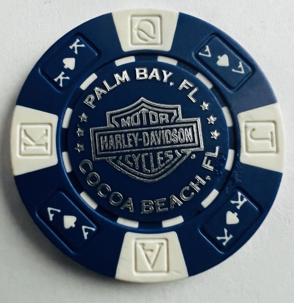 Palm Bay - Space Coast H-D  pin collectible - Main Image 4