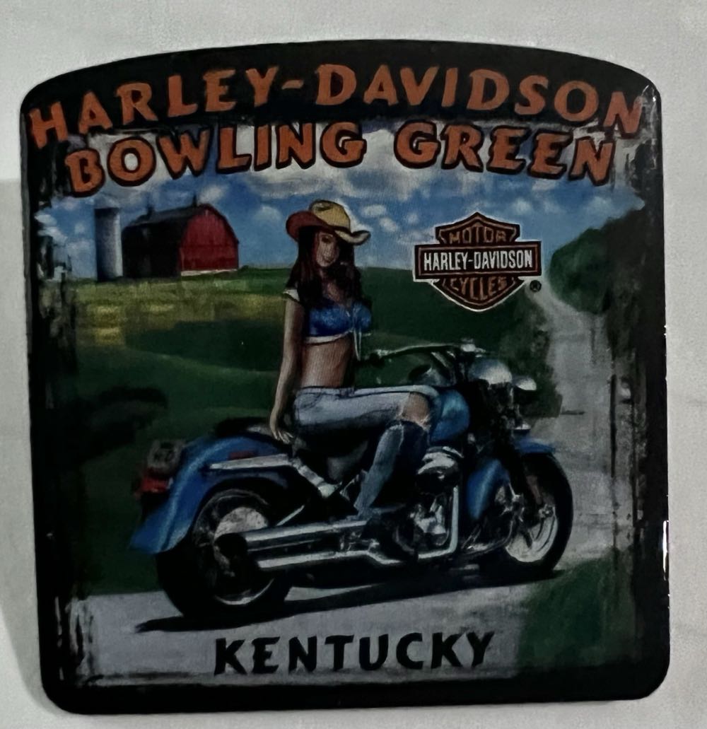 Meeko And Percy In Bathtub - Disney Parks Pin