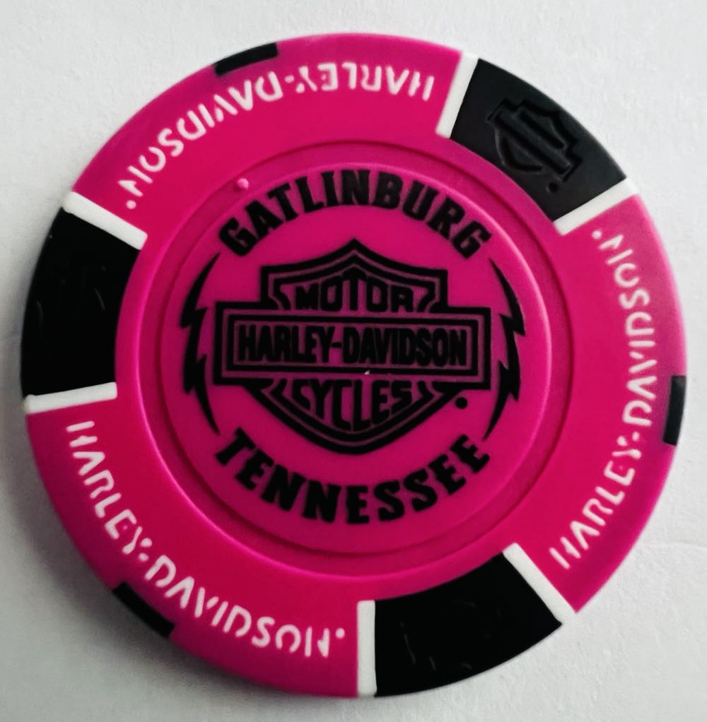 Gatlinburg - Hillbilly H-D  pin collectible - Main Image 3