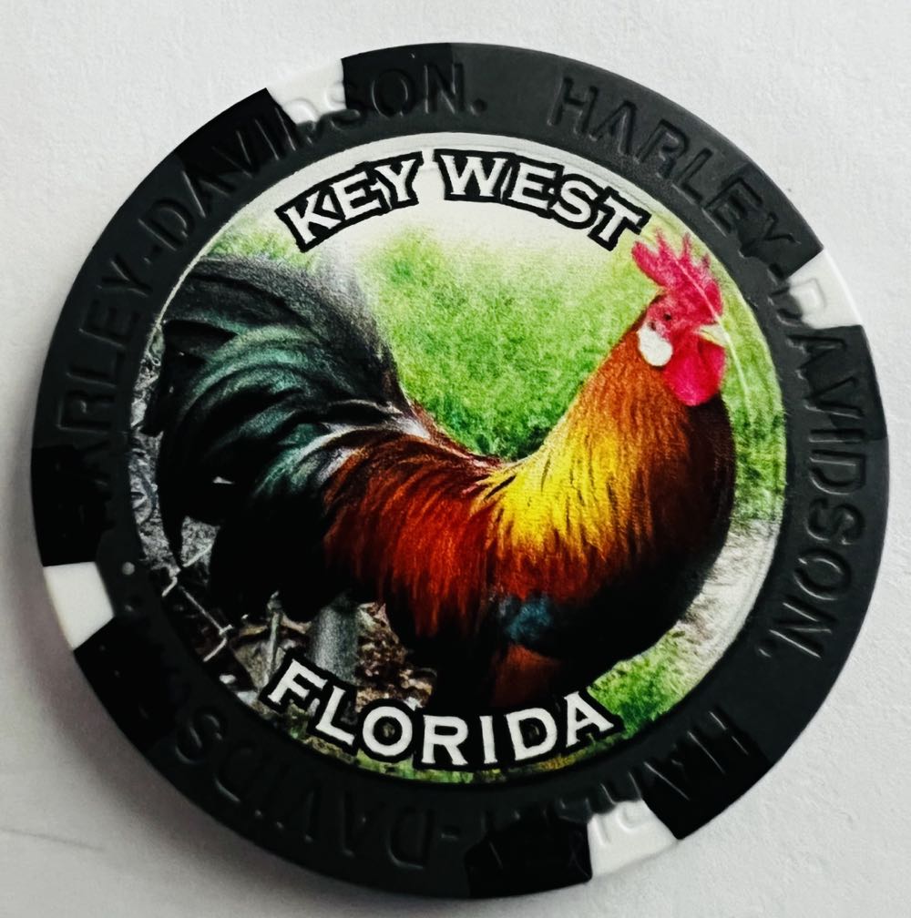 Key West - Peterson’s Key West H-D  pin collectible - Main Image 4
