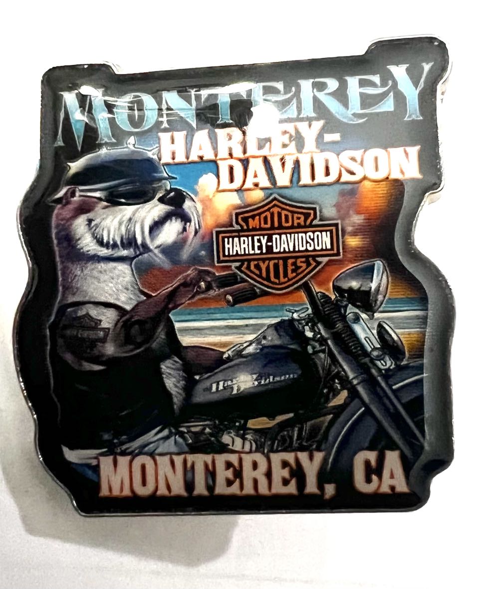 Disney: Moana: 2018 Loungefly Pack 3/4