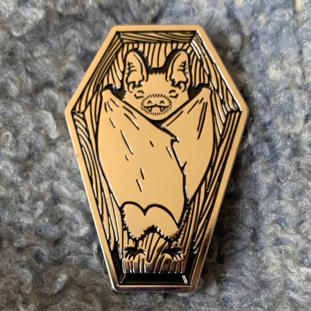 Tiny Dragons Among Us: Waterbear