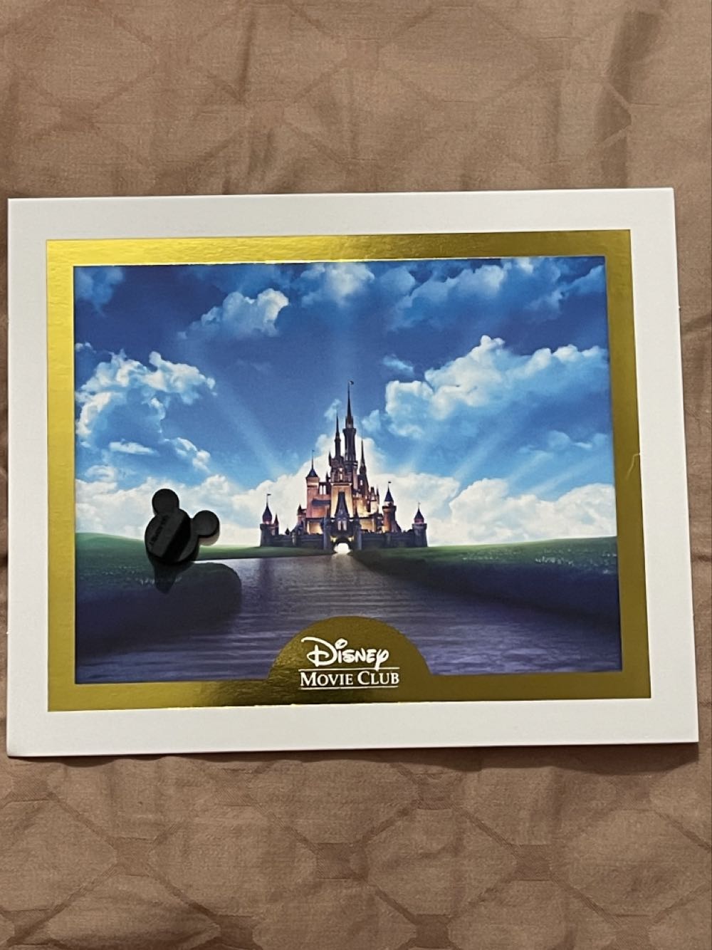 Dory - Disney Movie Club Pin - Gift With Purchase pin collectible - Main Image 2