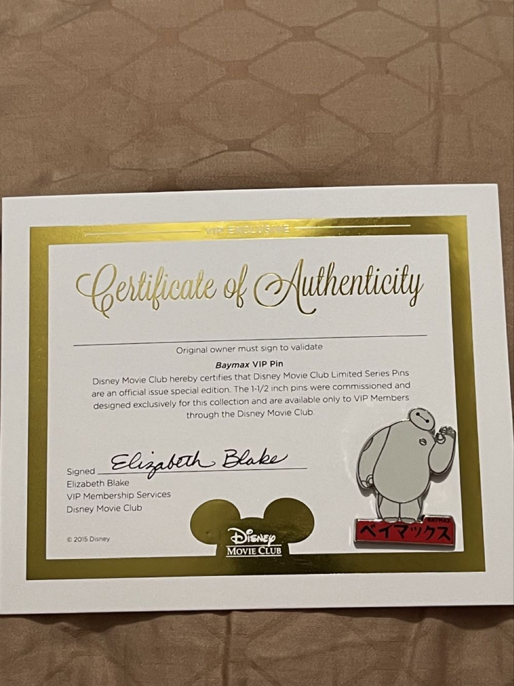 Windows Of Main St. - Fargo’s Palm Parlor