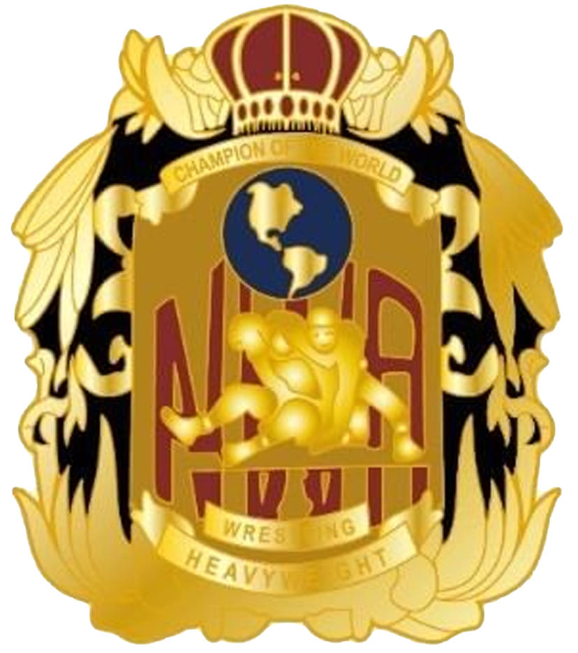 NWA World’s Heavyweight Championship Belt Pin - Enamel pin collectible - Main Image 3