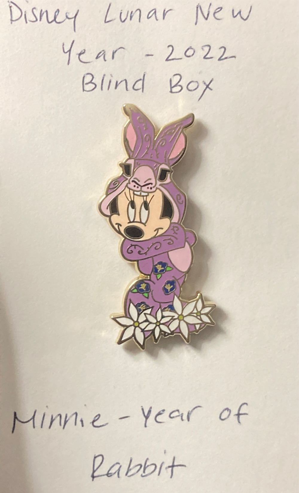 DVC Member Pin With Dimensional Mickey