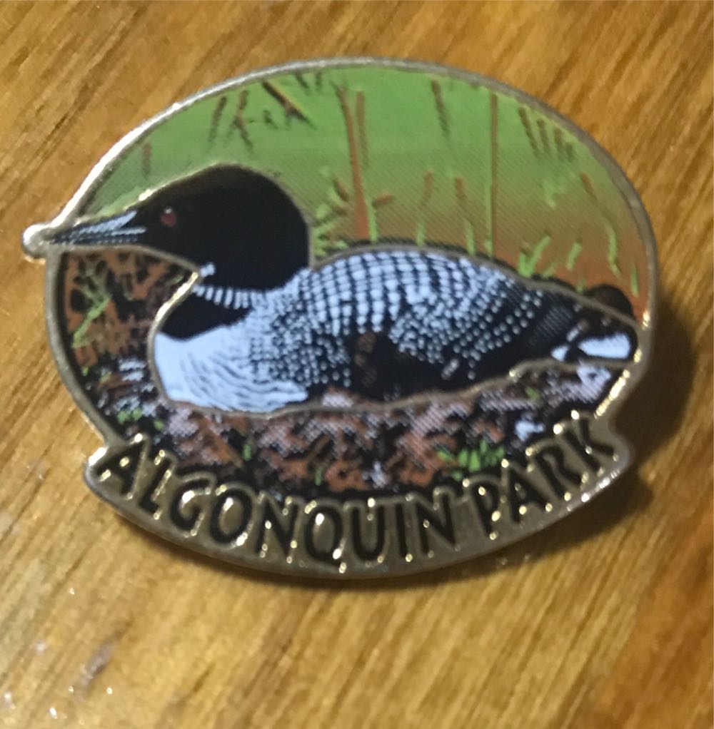 Halloween 2021 - Pluto As Mummy