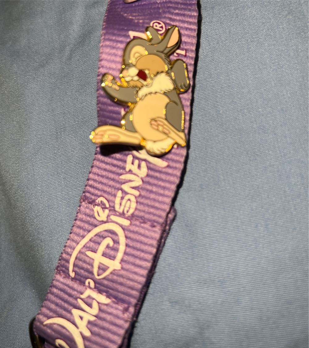 Harry Potter, First Night with Hedwig (Window Top Pin) $O