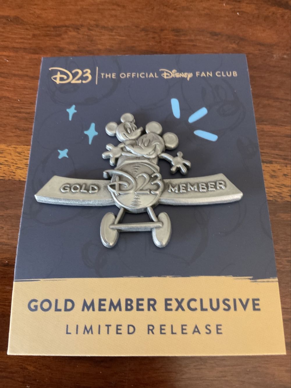 WCW Hardcore Championship Belt Pin