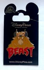 Peter Pan New Animation Cluster