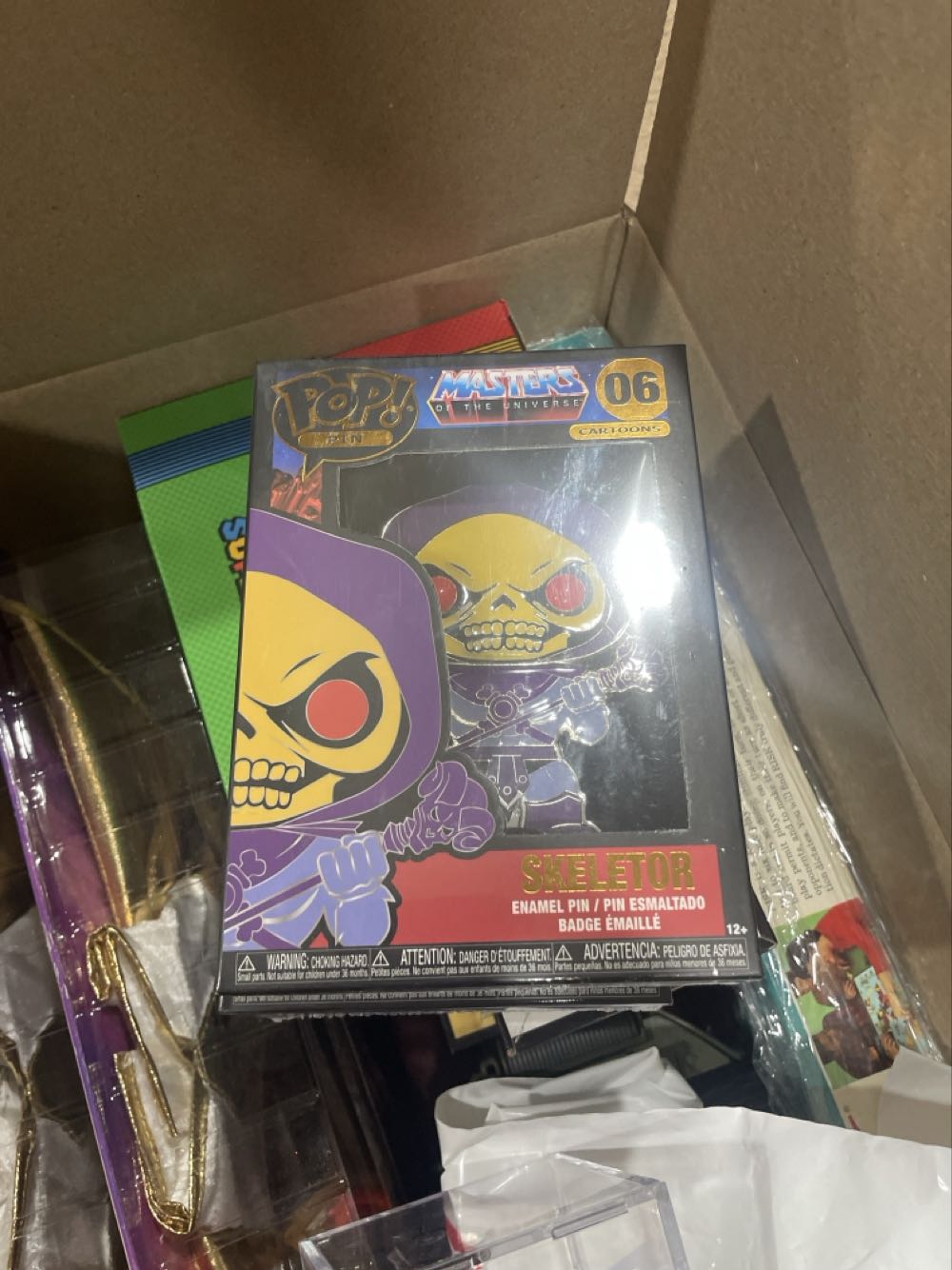 Funko Pop! Pins: Masters Of The Universe Skeletor With Glow In The Dark Eyes Multicolor 3.75 Inches  pin collectible [Barcode 671803367876] - Main Image 2