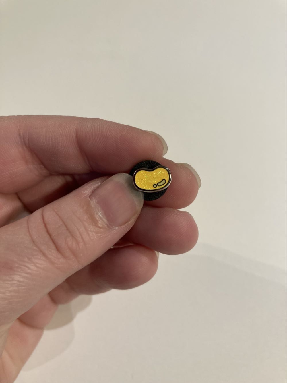 Seaworld - Turtle Surfboard