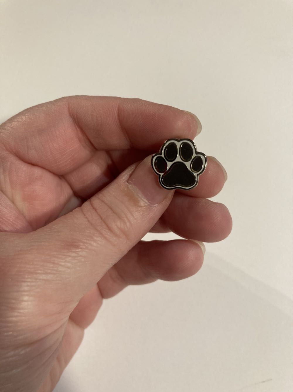 Minstrel From Sleeping Beauty - FANTASY (PinsOnMain) Limited Release Disney Pin